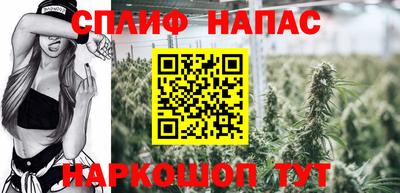 твердый Моздок