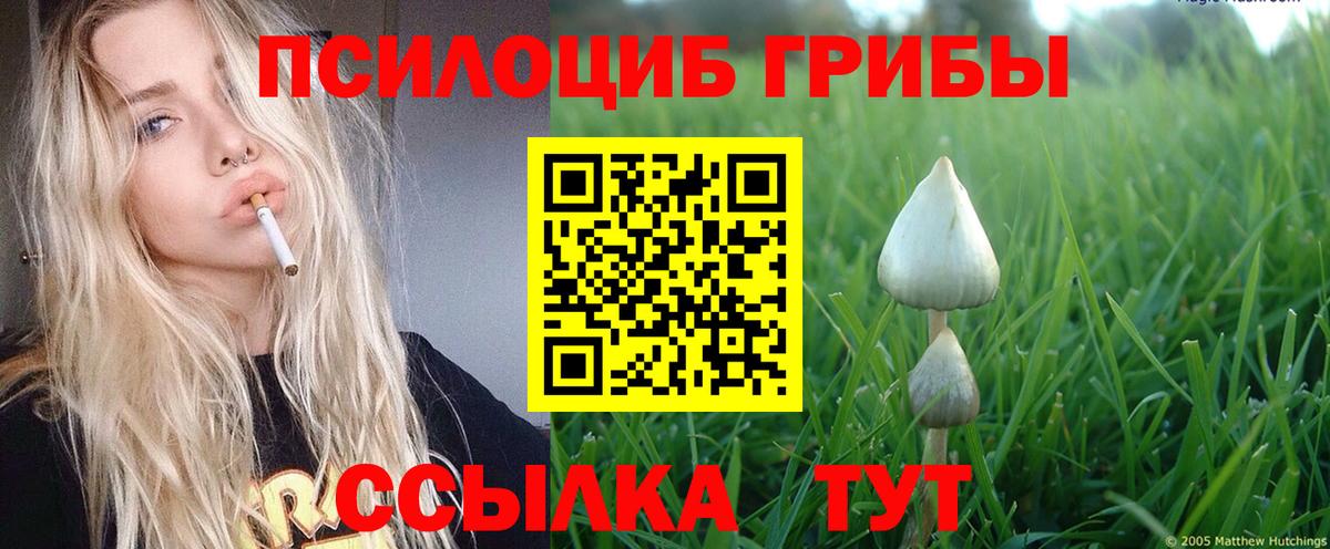 Видное  Галлюциногенные грибы прущие грибы  Псилоцибиновые грибы MAGIC MUSHROOMS  Вход с VPN 